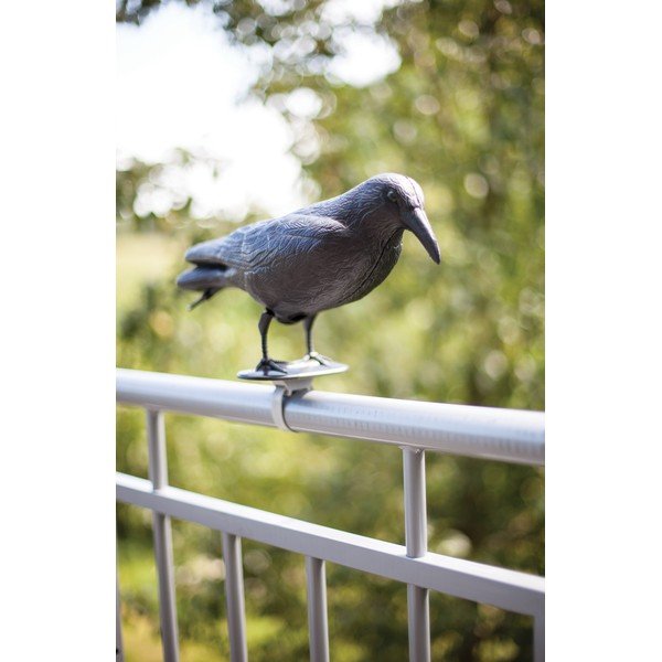 Plastmass hernehirmutis lindudele Crow – Esschert Design-image-2