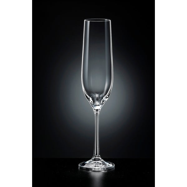 6 šampanjaklaasi komplekt, 190 ml Viola - Crystalex-image-1