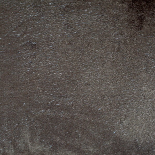 Helepruun koeravoodi ø 50 cm - Love Story-image-4