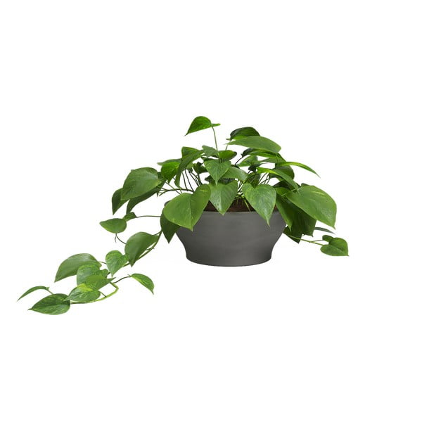 Terrakotta lillepott ø 23 cm Saramago - Artevasi-image-1