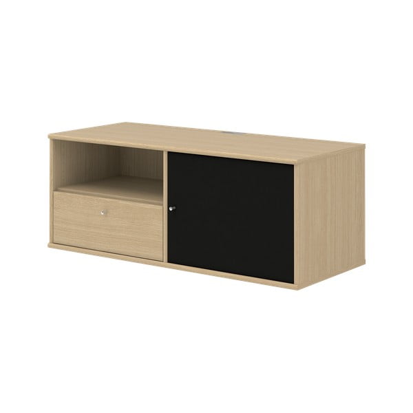 Tammepuidust vooderdatud telerikapp 222 Mistral - Hammel Furniture-image-3