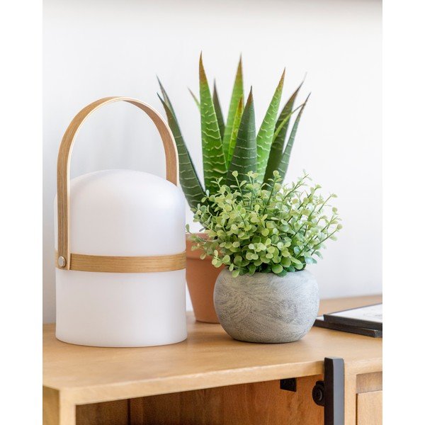 Kunstlik eukalüpt potis - Kave Home-image-2