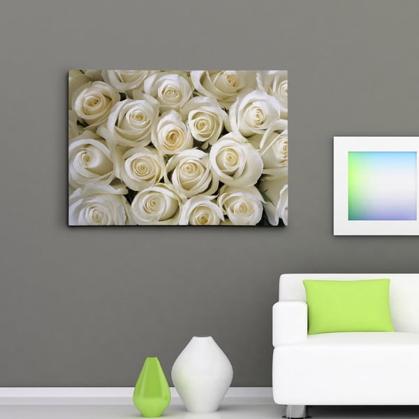 Obraz na plátně Bílé růže, 50x70 cm