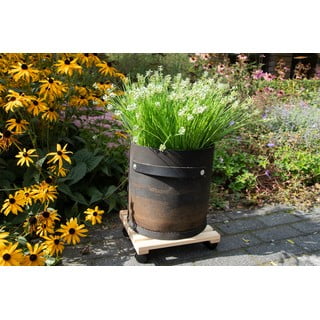 Puidust mobiilne alus lillepottidele (kõrgus 8 cm) Indoor & Outdoor – Esschert Design