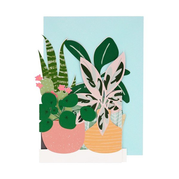 Tervituskaardid Potted Plant – Meri Meri-image-1