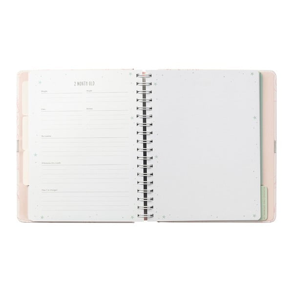 Beebipäevik 98 lk. Pink - Busy B-image-4