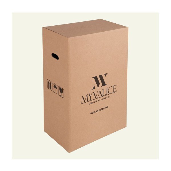 Roosa reisikohver ratastel USB-portiga My Valice COLORS RESSNO Pilot kohver - Myvalice-image-2