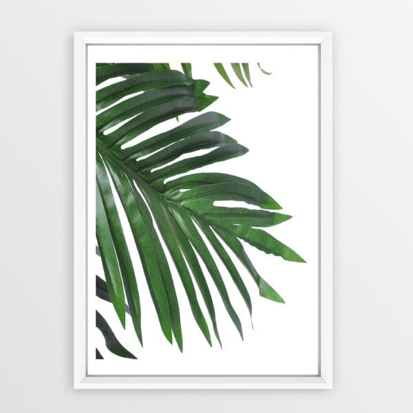 Plakat raamis Palm, 30 x 20 cm - Piacenza Art