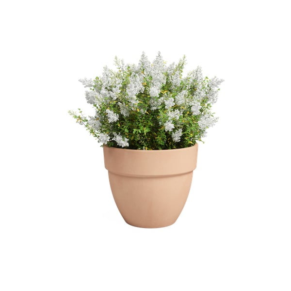 Terrakotta lillepott ø 40 cm Amalia Campana - Artevasi-image-2