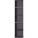 Antratsiitne raamaturiiul 45x197 cm Agenda - Germania
