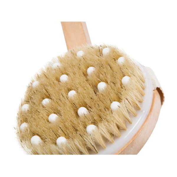 Vanni kehahari Zenger – Bambum-image-1