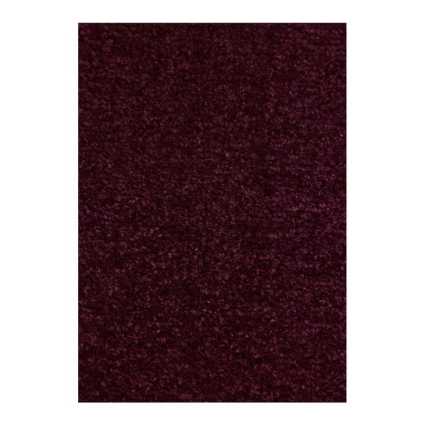 Tmavě fialový koberec Hanse Home Nasty, 200 x 200 cm