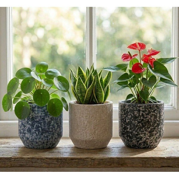 Keraamiline käsitöö lillepoti kaas ø 14 cm Almada - Ego Dekor-image-1