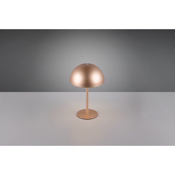Pruun LED-laualamp metallvarjuga (kõrgus 21 cm) Munoz - Reality-image-2