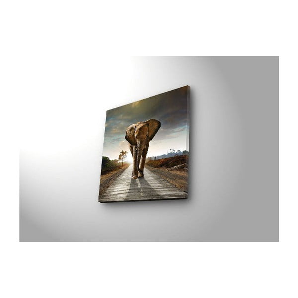 Podsvícený obraz Elephant, 28 x 28 cm