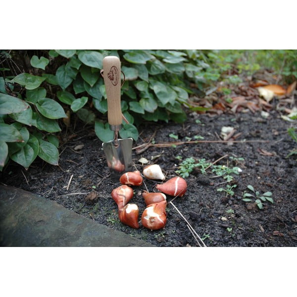 Esipuust ümberistutussabloo Pond - Esschert Design-image-4