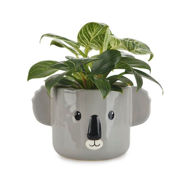 Keraamiline pott ø 13,5 cm Koala - Balvi-image-1