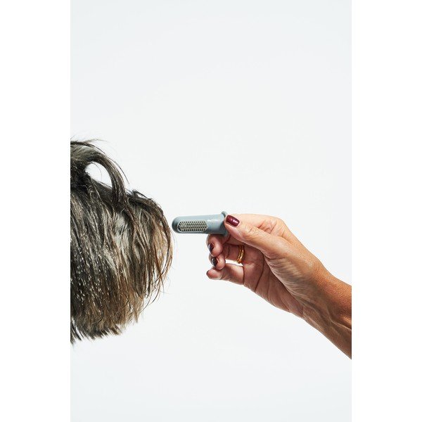 Lemmiklooma hambaharjade komplekt Dito – MiaCara-image-4