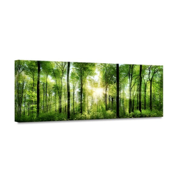 Pilt Glasspik Nature , 50 x 125 cm Sunlight - Styler