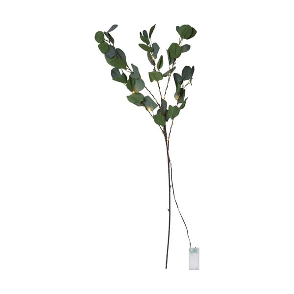 Roheline LED valgusdekoratsioon, pikkus 90 cm Eucalyptus - Star Trading