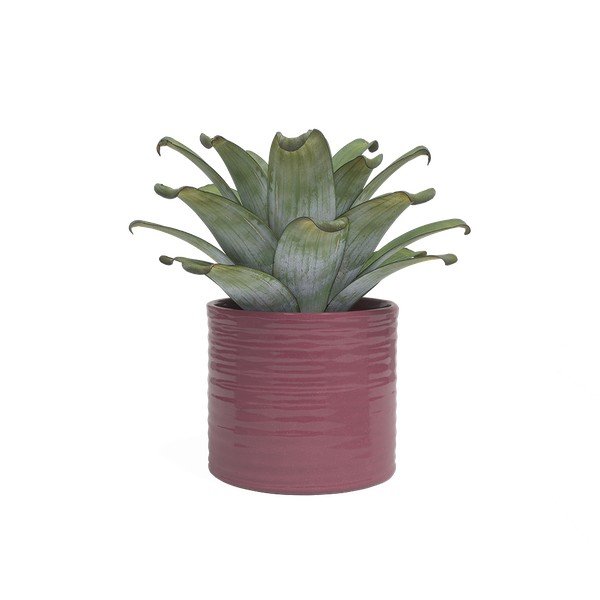 Keraamiline käsitöö lillepoti kate ø 25 cm Fortuna - Artevasi