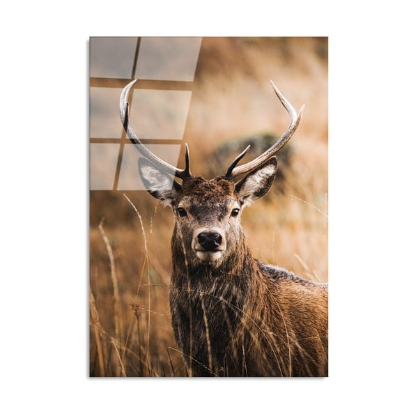 Klaasist maal 70x100 cm Deer - Wallity