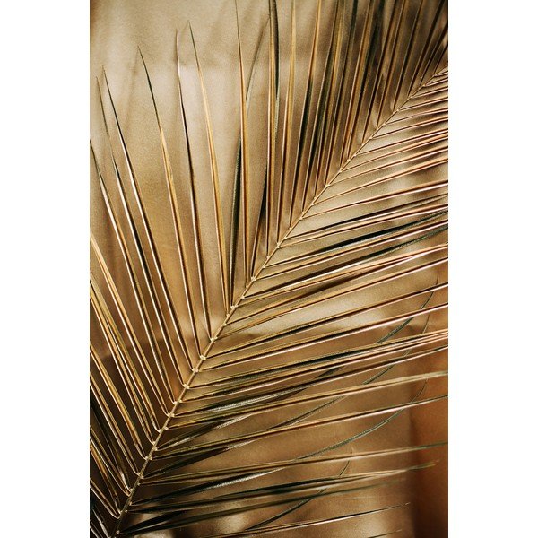 Trükitud klaasist pilt 80x120 cm Gold Palm - Styler