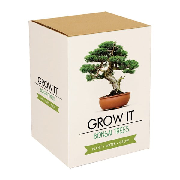 Pěstitelský set se semínky bonsaje Gift Republic Bonsai Trees