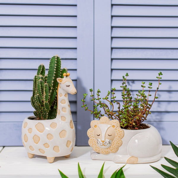 Valge ja beež pott, ø 7 cm Leo Lion - Sass & Belle-image-1