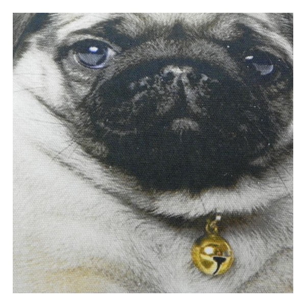 Polštář Mars&More Baby dog, 50 x 35  cm-image-1