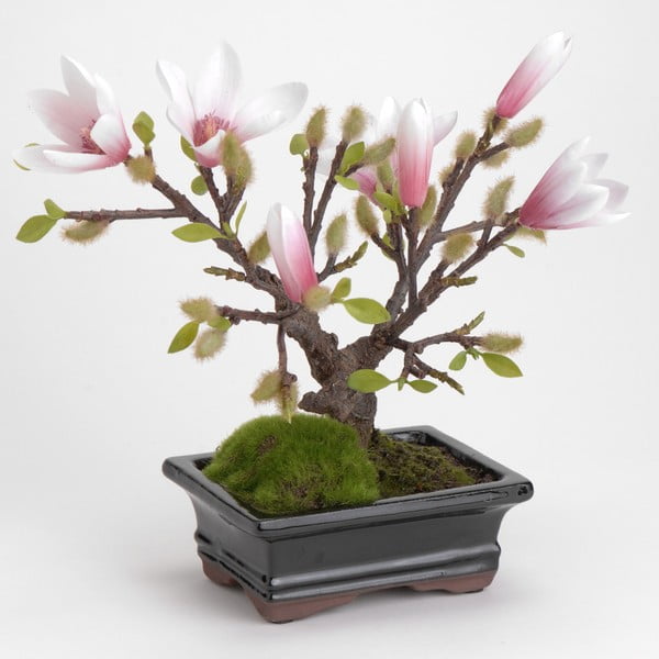 Umělá bonsai Magnolia