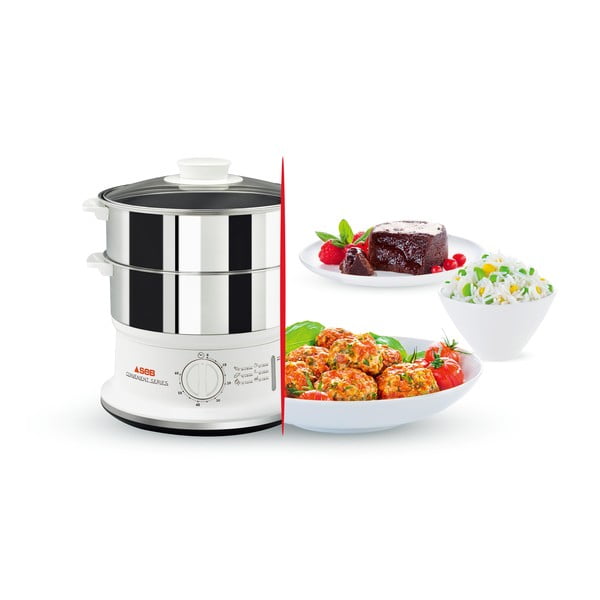 Mitmetasandiline auruti Convenient Series - Tefal-image-2
