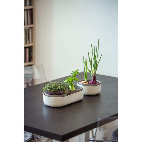 Plastikust idanemisnõu ø 16 cm Regrow – Plastia-image-3