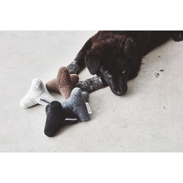 Mänguasi koerale Quattro Dusty Green M/L - MiaCara-image-2