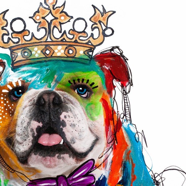 Hector Bulldog, 70x70 cm-image-1