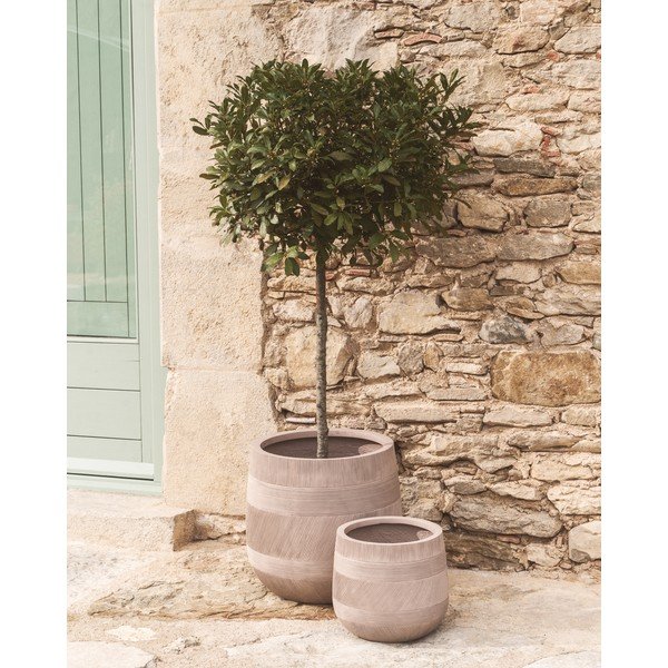 Betoonist lillepoti katted komplektis 2 tk ø 50 cm Tival - Kave Home-image-2