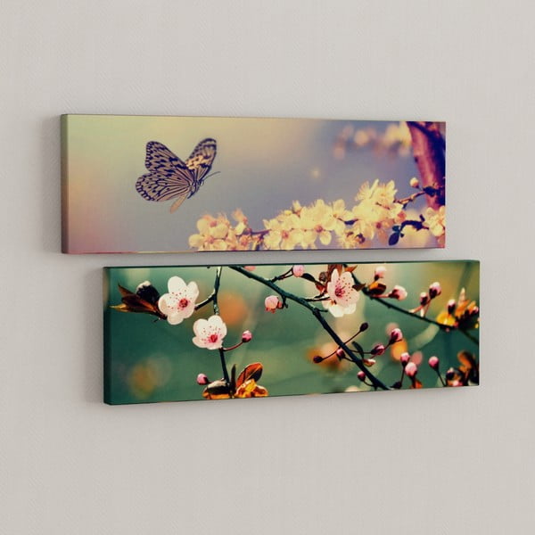 Sada 2 obrazů Motýl s květy