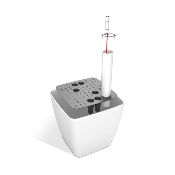 Antratsiithall isevoolav pott , 18 x 18 cm Quadrato - Flower Lover-image-3