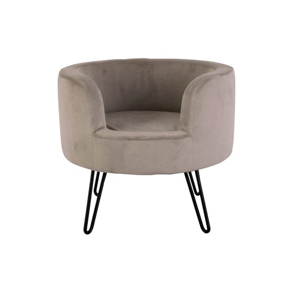 Hall sametist lemmikloomavoodi lemmikloomadele Throne - Leitmotiv-image-2