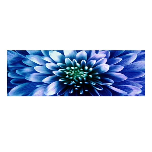 Obraz na skle Modrý květ, 30x90 cm