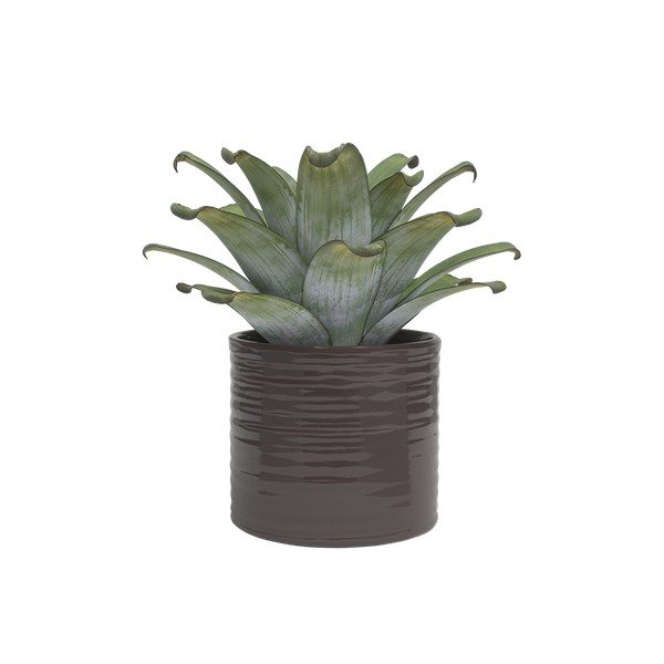 Keraamiline käsitöö lillepoti kaas ø 18 cm Fortuna - Artevasi