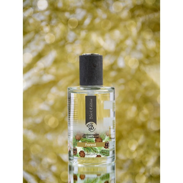 Kodulõhnastaja 100 ml Forest - Boles d´olor-image-2
