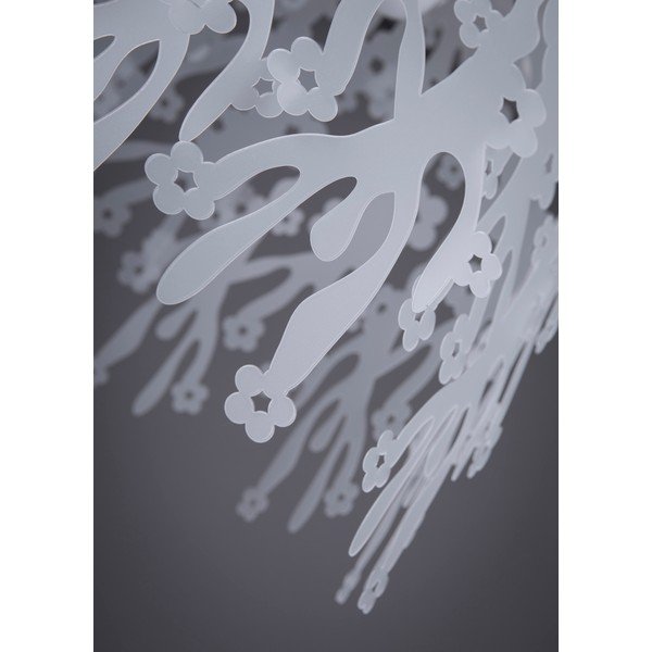 Transparentní svítidlo Papalux Organic Clear-image-4