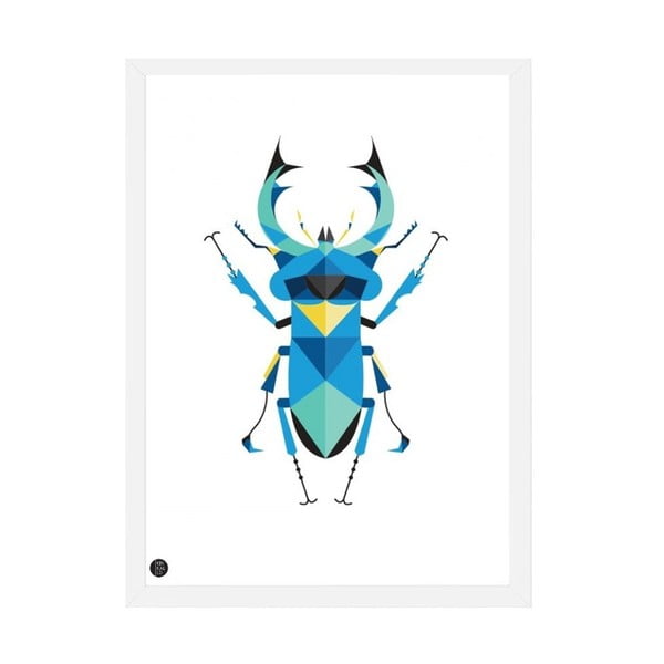 Plakát Stag Beetle Color, 50x70 cm