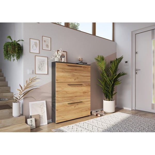 Tumehall tamme värvi hingedega jalatsiriiul Wildomar - Germania-image-1