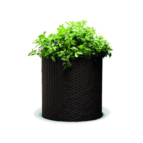 Pruun istutuspott, ø 35 cm - Keter-image-1