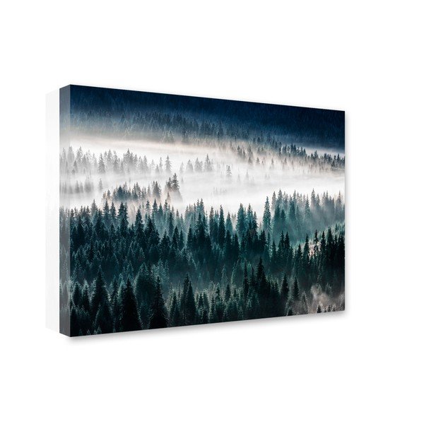 Obraz Styler Glasspik Misty Forest, 80 x 120 cm-image-1