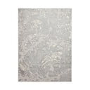 Hall/beež vaip 170x120 cm Apollo - Think Rugs