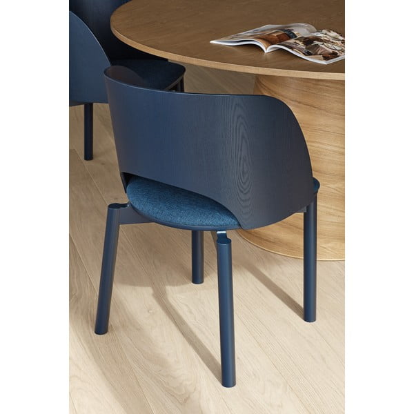 Sinine tool Dam - Teulat-image-4