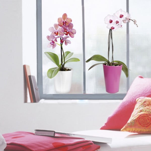 Samolepka na okno Orchideje